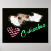 Poster Chihuahua aux yeux à courte distance couleur solid (Devant)