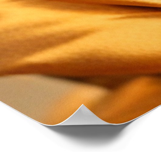 Poster Chihuahua bouddhiste (Coin)