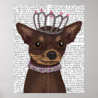 Chihuahua Brown Et Tiara