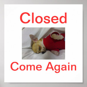 Poster Chihuahua Chien Fermé Signal Dormir