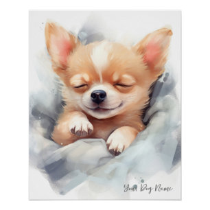 Poster Chihuahua Chig 004 en train de dormir de l'ange su