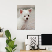 Poster Chihuahua chippy dans un jardin (Bureau à domicile)