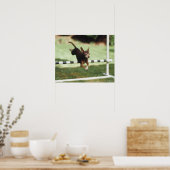 Poster Chihuahua Jumping (Cuisine)
