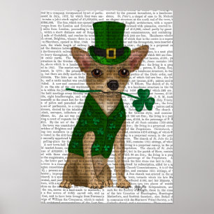 Poster Chihuahua Leprechaun