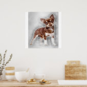 Poster Chihuahua looking at camer_dog lover (Cuisine)
