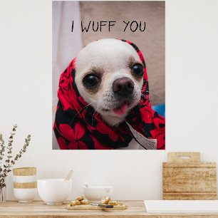 Poster Chihuahua mignon Je t'aime amour Saint-Valentin