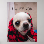 Poster Chihuahua mignon Je t'aime amour Saint-Valentin (Devant)