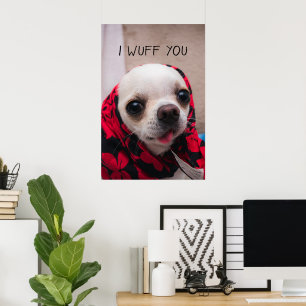 Poster Chihuahua mignon je t'aime amour Saint-Valentin