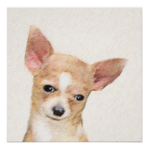 Poster Chihuahua Peinture - Cute Original Chien Art