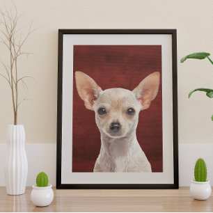 Poster Chihuahua Perfect Poster