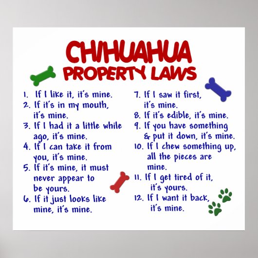 POSTER CHIHUAHUA PL2 (Devant)
