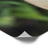 Poster Chihuahua portant des lunettes (Coin)