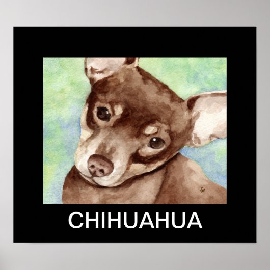 Poster Chihuahua Portrait (Devant)