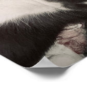 Poster Chihuahua Smiling Print (Coin)