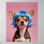 Poster Chihuahua wig (Devant)