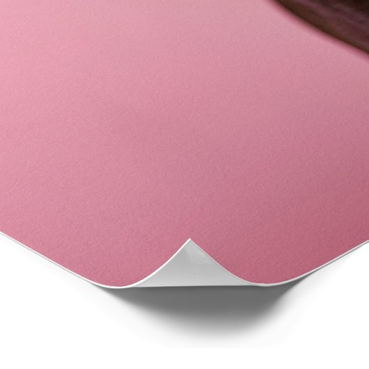 Poster Chihuahua wig (Coin)