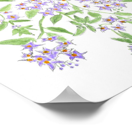 Poster Chilean potato tree cushion (Coin)