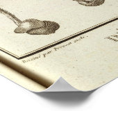 Poster Chili 3 (Coin)