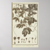 Poster Chili 3 (Devant)