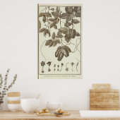 Poster Chili 3 (Cuisine)