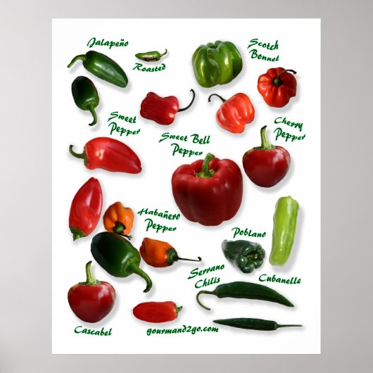 Poster Chili Pepper Variétés (Devant)