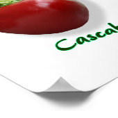 Poster Chili Pepper Variétés (Coin)