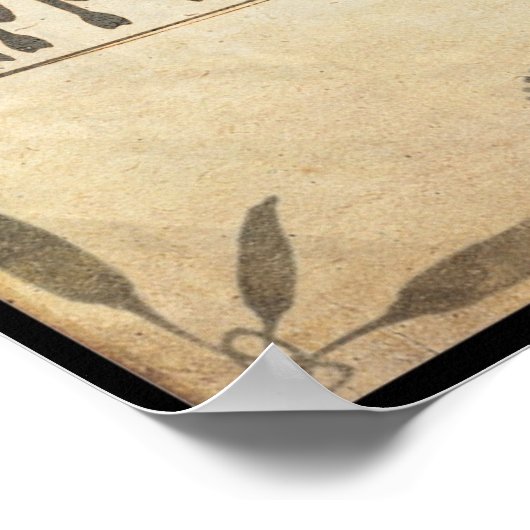 Poster Chilippositories (Coin)