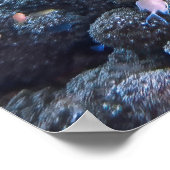 Poster Chill Hawksbill (Coin)