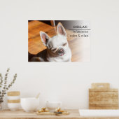 Poster Chillax Chihuahua somnolent langue détendue sortie (Cuisine)