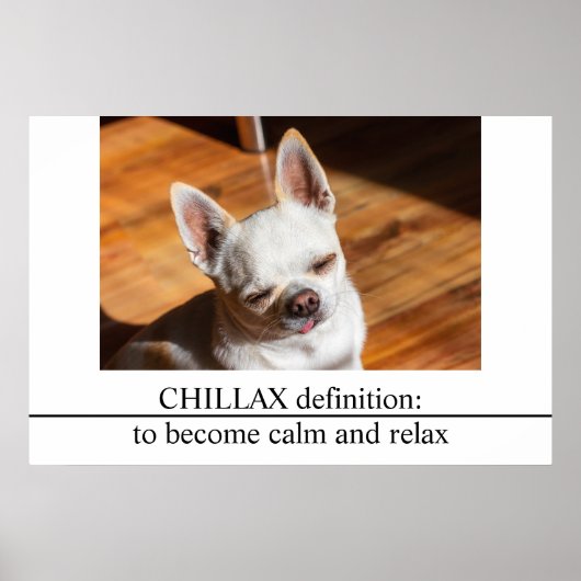 Poster Chillax Chihuahua somnolent langue détendue sortie (Devant)