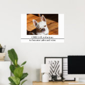 Poster Chillax Chihuahua somnolent langue détendue sortie (Bureau à domicile)