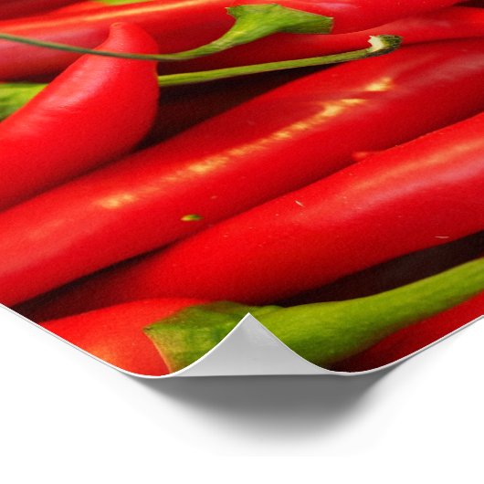 Poster Chilli Rouge Pepper (Coin)