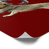 Poster Chimera (Coin)