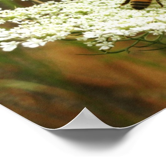 Poster Chimie (Coin)