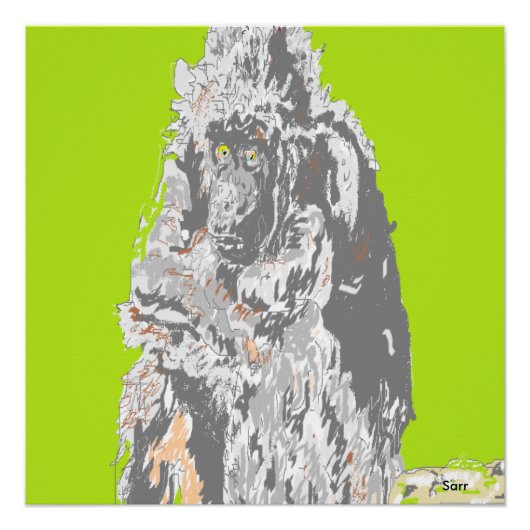 Poster Chimpanzé (Devant)