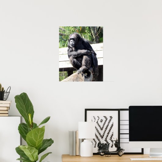 Poster Chimpanzé (Bureau à domicile)
