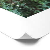 Poster Chimpanzé (Coin)