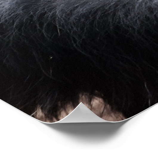 Poster Chimpanzé (Coin)