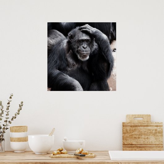 Poster Chimpanzé (Cuisine)