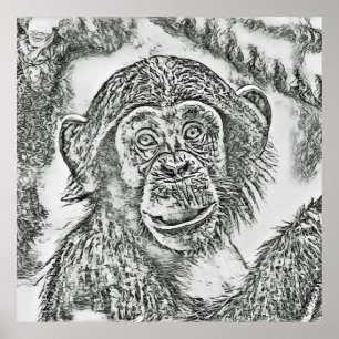Poster Chimpanzé 20161101