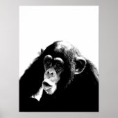 Poster Chimpanzé noir blanc (Devant)