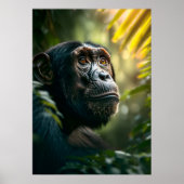 Poster Chimpanzé réfléchi dans la jungle (Devant)
