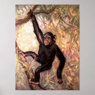 Poster Chimpanzé singe par CE Swan, Animaux sauvages vint