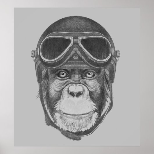 Poster Chimpanzé vintage (Devant)