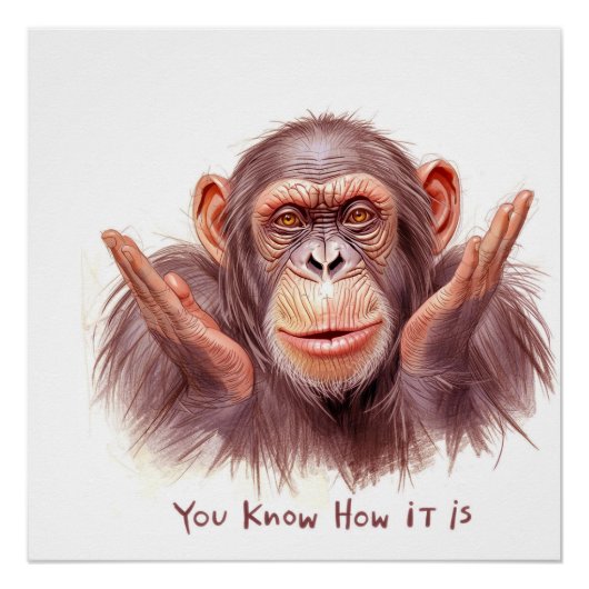 Poster Chimpanze vous dit :"Vous savez comment ça se pass (Devant)