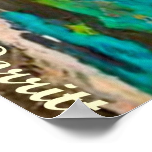 POSTER CHIMPANZEE 2 (Coin)