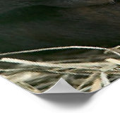 POSTER CHIMPANZEE MÈRE ET ENFANT (Coin)