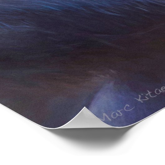 POSTER CHIMPANZEE MONKEY CHIMPIANNA JONES (Coin)