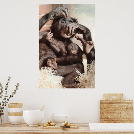 POSTER CHIMPANZEES (Cuisine)