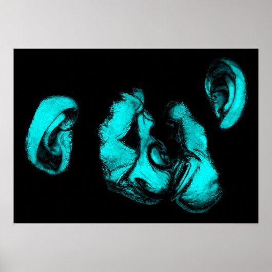 Poster chimpanzés baisants : néon turquoise (Devant)